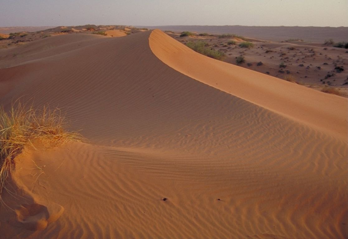 Горные пустыни африки. Bidiyah Sand Dunes Оман. Sugar Dunes Оман. Бич пустынь. Салала пустыня сверху.